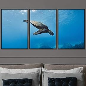 signwin 3 Piece Framed Canvas Wall Art Turtle...