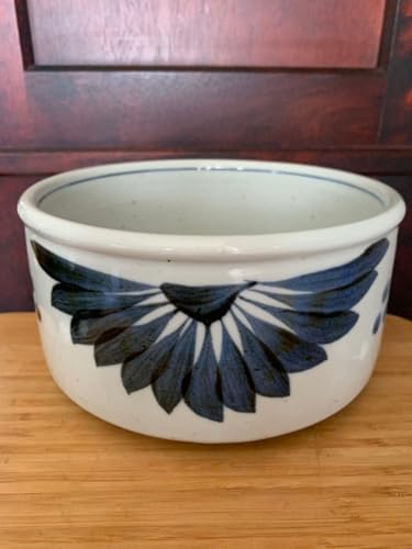 �u���� �~�R�q �傫�ȑ唫 ���{�e��