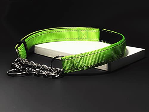 Puroayet Martingale Collar For Dogs Reflective Nylon Dog Training Collars Soft Padded No Pull Adjustable Collars Stainless Steel Chain Collar For Large/Medium/Small Dog (Green,S) #TOP5