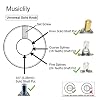 Musiclily Pro Universal Guitar Amp Amplifier Push-on Knobs with Set Screw for All Potentiometers Marshall Amplifiers, Black with Gold Aluminum Top (Set of 6) #2