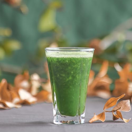 LAV TRU 309F Liquer Glass, 3-1/4 oz, Clear