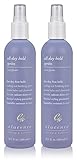 Elucence All Day Hold Spritz, 55% VOC, 10-Ounce (2-Pack)