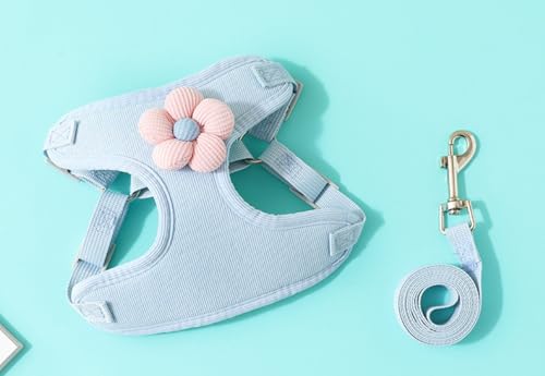 Tuyiutm hbO[VxXg ^p ݎň̌ジh~ Ȏ  ĕp A^b`g ʋC y O[hZbg ߉\ ~ ȒP 􂢉\ ϋv 킢Lp[hZbg lG EȒP g