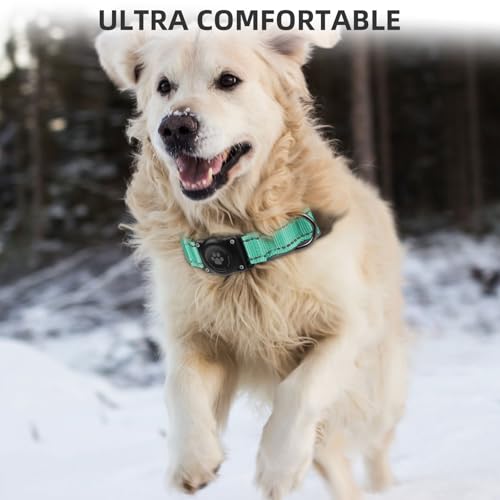 Image of Upgrade Dog Collar with AirTag Holder, IP68 Waterproof, Aqua, M