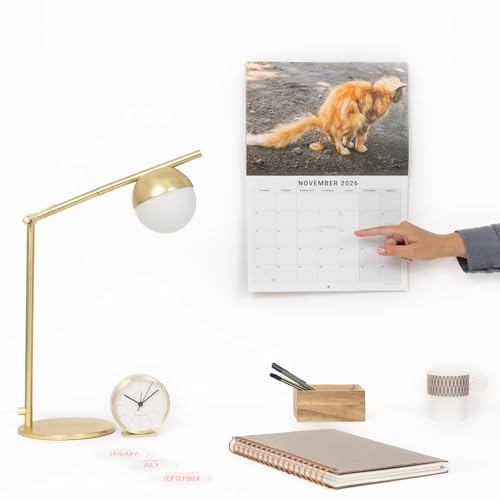 2026 Funny Cat Pooping Calendar - Image 2