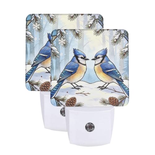 Image of Winter Hummingbirds Blue LED Plug-in Night Light 2 Pack, Nightlights Set of 2 for Bedroom Bathroom Stairs