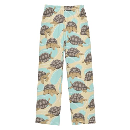 Boys' Pants Aldabra Giant Tortoise Turtles Long Bottoms Jogger Pants Elastic Waist Trousers with Pockets S-XL