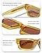 Roneyee Rectangle Sunglasses Men Womens Trendy Retro Sun Shades UV Protection Fashion Acetate Stylish (Honey)