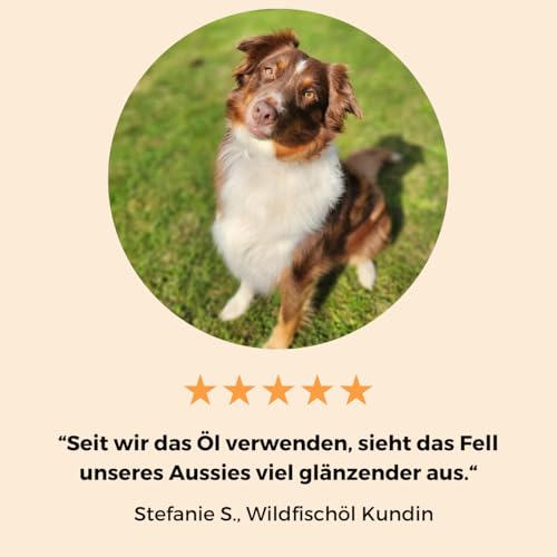 Dog-Native Wildfischöl für Hunde, Omega-3 Öl für Fell & Haut, Fischöl aus Wildfang, Barföl mit Vitamin E, Lachsöl Alternative in dunkler Glasflasche, 500ml