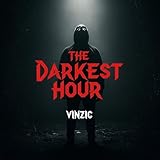 Vinzic