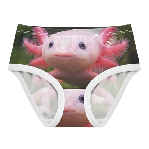 Cute Axolotl Funny Panties Little Girl Toddler Underwear Custom Cotton Personalized Kids Undies Briefs 2t