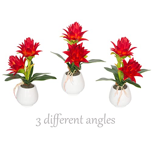 Binfen Red Potted Bromeliad - Artificial Flowers With Vase For Home And Office Decor, Aesthetic Faux Tropical Plant Bonsai, 13.4 Inch #TOP1