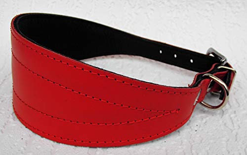 Podenco Greyhound Windhund - Halsband, Halsumfang 40-47cm/65mm Leder °ROT°(PL.9-10-626)