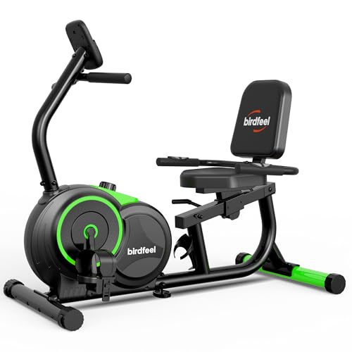 Recumbent Exercise Bike for Home,Recumbent Stationary Bikes for Adults &