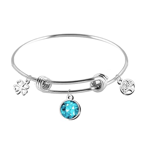 cotigo Pulsera Acero Inoxidable Mujer, Brazalete Mujer Ajustable con Colgante Piedera Nacimiento, Pulseras de la Suerte Perfecto para Regalo Mujer Cumpleaños y Navidad (Diciembre - Turquesa)
