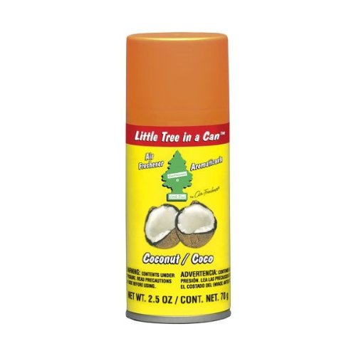 Best Air Freshener In A Can A Guide