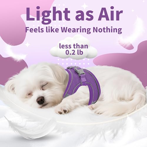 Image of AIITLE Escape Proof Dog Harness - Summer Step in Adjustable Dog Harness No Choke Over with Breathable Mesh and Quick-Release Buckle - Outdoor Walking, Training for Medium Dogs Pure Purple XL