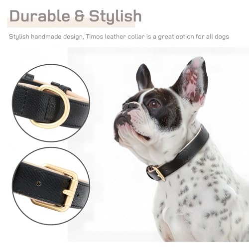 HEELE Hundehalsband, Halsband Leder mit gepolstert und echtes Leder, Verstellbar für Welpen Kleine Mittel Grobe Hunde, Schwarz, M