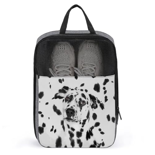 V[YP[X _VA  V[Y В ߗޓ  [P[X ւ C AWP[X V[YobO e  hhL hho ^ѕ֗ jp s o X|[c