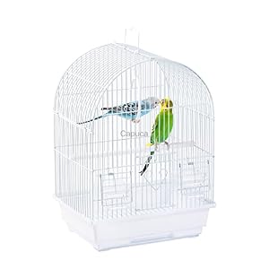 Small Bird Travel Cage – Lightweight Small Birds Starter Kit with Birdcages and Accessories Great for Parakeets Lovebirds Parrotlets Finches Canaries