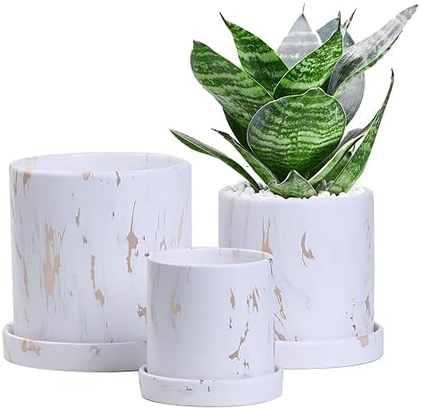 Ton Sin Marble Flower Pots Set of 3,Plant Pot with Drainage and Saucer,Succulent Pots for Indoor Plants,5.9"&5.0"&3.9" Inch Planters,Garden Pots(Gold)