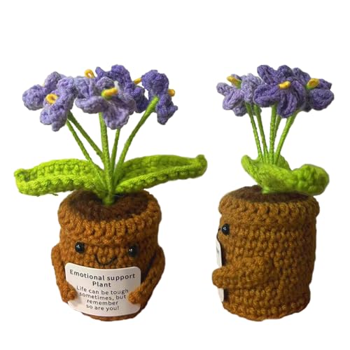 CHUNLINLAODA Flower Maceta de Ganchillo Flores de Ganchillo Hechas a Mano Regalo de Apoyo Emocional Hecho Mano con Tarjeta Estímulo Positivo para Familia Amigos Fiesta (Morado)