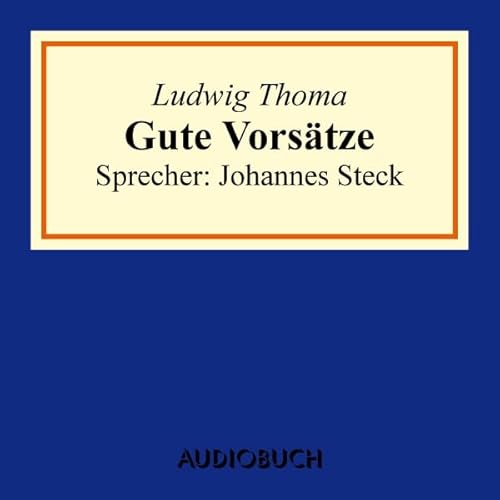 Gute Vors&auml;tze cover art