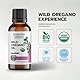 ImunShield Wildes Oregan-Öl - Ätherisches Bio-Oreganoöl mit 86-90% Carvacrol und nativem Olivenöl Extra - Unterstützung für Immun- und Verdauungssystem - Vegan, Pflanzlich, – 30 ml