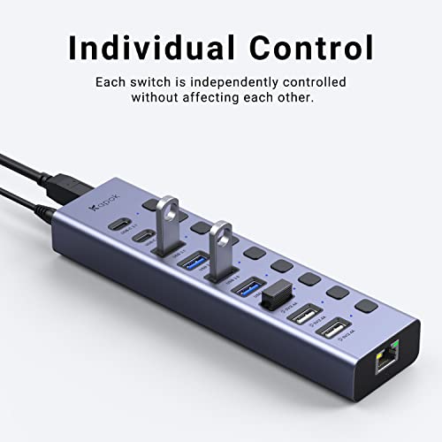 Powered Usb C Hub/Usb Hub 3.1, 10-Port 60W Aluminum Usb Splitter With Ethernet Port, 2 Usb C 3.1, 3 Usb A Charging Ports, Usb A 3.1, 3 Usb A 3.0, Power Switches, 16Inch Cable Ac Adapter For Laptops,Pc #TOP6