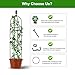 Garden Obelisk Trellis for Climbing Plants Outdoor,2Pack Flower Trellis for Potted Plants, Rustproof Coated Metal Pipe Clematis Trellis for Rose Vine Vegetable Flower Support Indoor Outdoor