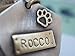 Dog ID Tag Personalized, HANDMADE Gold and Silver with Name and Phone Number for Medium and Large Dogs,