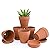 D'vine Dev Terracotta Pots with Saucers, Clay Pots for Plants & Succulents, 588-A