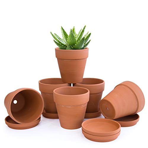 Recopilación y reviews de Macetas Terracota - los mas comprados. 7