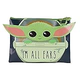 Obras de arte llamativas. Star Wars Baby Yoda- Star Wars - Estuche para lápices con diseño de Yoda (Pyramid SR73282)