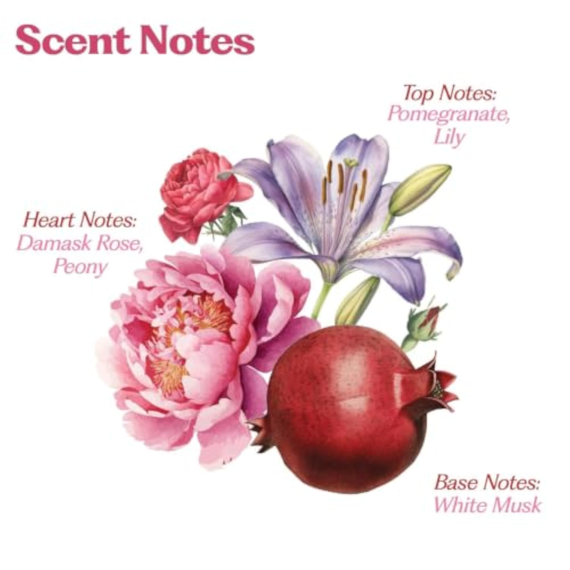 Hair Perfume Combo for Women, Rani Baug & Wild Flower Mist