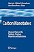 Produktbild Carbon Nanotubes: Advanced Topics in the Synthesis, Structure, Properties and Applications (Topics in Applied Physics, 111, Band 111)