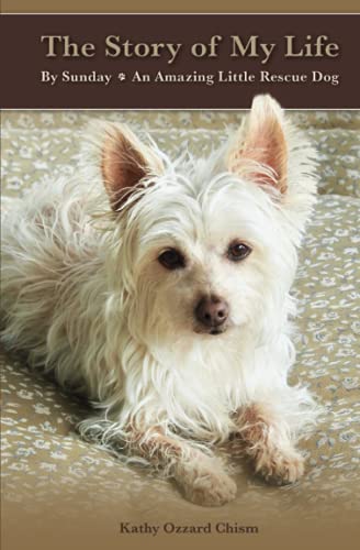 The Story Of My Life: By Sunday, An Amazing Little Rescue Dog