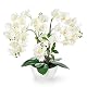 Künstliche Orchidee XXL im Hochglanz-Keramiktopf (56 cm)