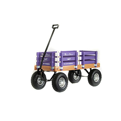 Buy Berlin Sport Wagon Toy, Purple