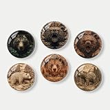BaHomeck 6Pcs Round Fridge Magnets Brown Bear Theme Glass Refrigerator Magnets,Mini Cute Strong Magnets for Photos,Sticky Note,Whiteboard,Cabinet,Office,Kitchen,Classrooms Decoration