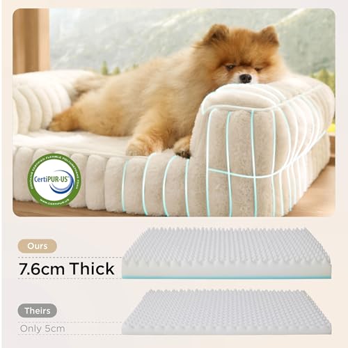 BEDSURE orthopädisches Hundebett für mittelgroße Hunde - 76x51x16.5cm wasserdichtes Hundesofa mit Memory-Schaum & Eierkarton-Schaum, waschbarer und Abnehmbarer Cordbezug Hundecouch, Creme