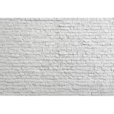 [Application] : les décors de photographie en vinyle conviennent à toutes sortes de fêtes, occasions, fêtes d'anniversaire, baby shower, vacances, anniversaires, séances photo, vidéos enregistrées, photographie à domicile, etc.