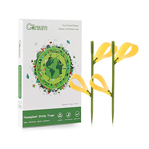 Garsum 21 Traps Sticky Houseplant Traps Gnat Yellow Insect Trap Indoor Fruit Fly Stakes Trap 21 PCS