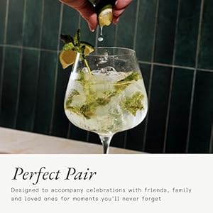 Made In Cookware Red Wine Glasses Set of 4 Dishwasher Safe Crafted in Germany