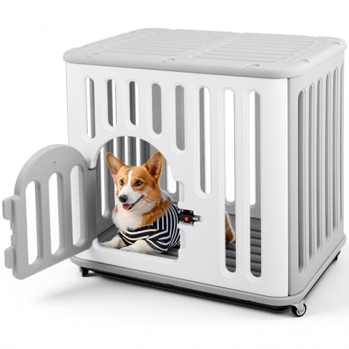  Q[W t MAZOT  ybgP[W T[N ^p LX^[t  CeA  g[t  gȒP |₷ (zCg{O[, 65.5×46×60cm)