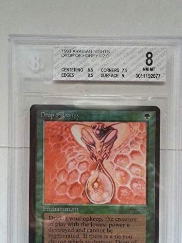 BGS8.5 Drop of Honey ANR EN MTG Arabian Drop of Honey BGS 8.5 BAS 10