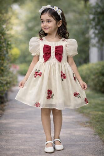 Image of Buy & Try Girls Silk Frock, Short Sleeve Knee-Length Floral Dress for Birthday & Festive Events with Comfortable Zipper Closure