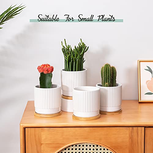 Tamaykim 4.25 Inch Cylinder Ceramic Succulent Planters, Vertical Striped Modern Small Plant Pots With Drainage Holes And Saucer For Aloe, Snake Plants, Cactus & Herbs, Indoor Decor #TOP4