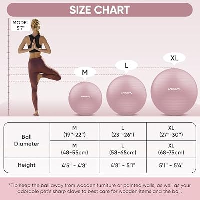APEXUP Yoga Ball Exercise Ball (M (19~22) 55cm) + Ankle Strap for Cable Machine
