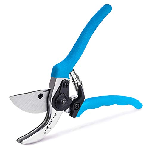 BUTTERFLY LOVE Professional Bypass Pruning Shears, Manual Hand Pruner, Garden Clippers, Tree Trimmers Secateurs (Blue-8 Inches)